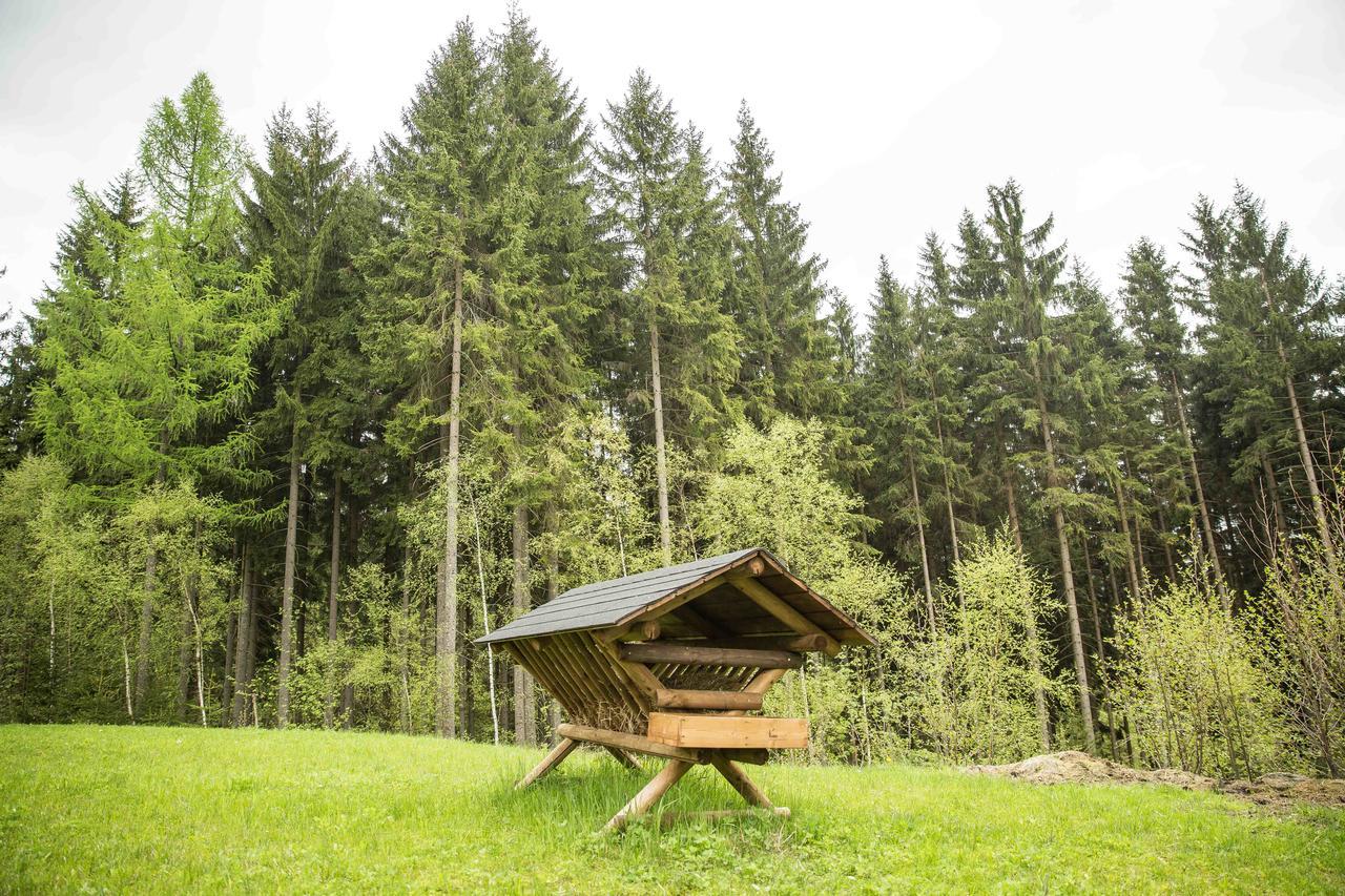 Chalet Harrachov Buitenkant foto